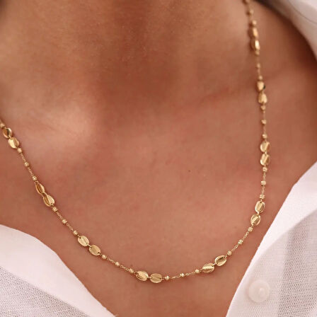 Nisera Pullu Plaka Altın Zincir