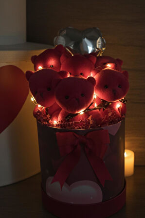 Premium Özel Kalpli Silindir Kutusunda, Kalpli Balonlu LED Işıklı 6’lı Kırmızı Ayıcık Buketi