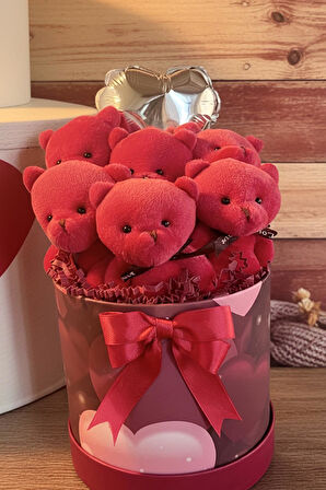 Premium Özel Kalpli Silindir Kutusunda, Kalpli Balonlu LED Işıklı 6’lı Kırmızı Ayıcık Buketi