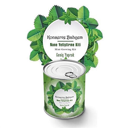 caselka® Konserve Bahçem Nane Yetiştirme Kiti
