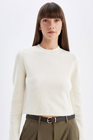 DeFacto Regular Fit Bisiklet Yaka Premium Basic Düz Crop Triko Kazak C9047AX24WNER99