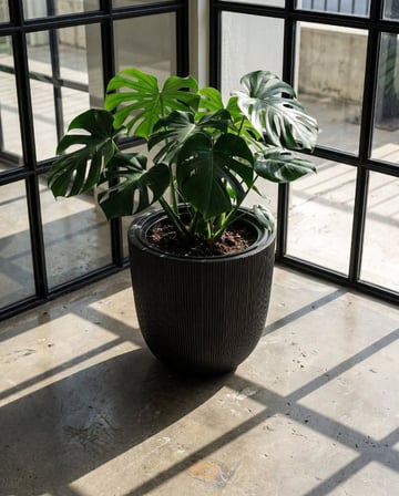 Omnipazar SO-PALM3 Palmiye Dekoratif Plastik Saksı İç Kovalı 30 LT NO: 3
