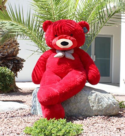 80 cm Papyonlu Sevimli Peluş Şaşkın Ayı - Sevgiliye Özel HEDİYE