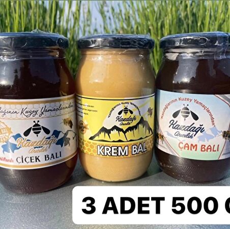 Bal Paketim 1 (3x500gr Çiçek & Çam & Krem Bal)