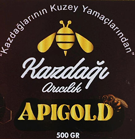 ApiGold (Siyah Bal) 500gr