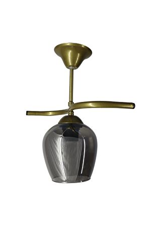 Fuji Eskitme Tekli Füme Camlı Avize | Kaliteli Modern Metal Avize