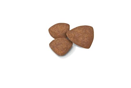 Royal Canin Küçük Irklar için Yavru Kuru Köpek Maması 2kg