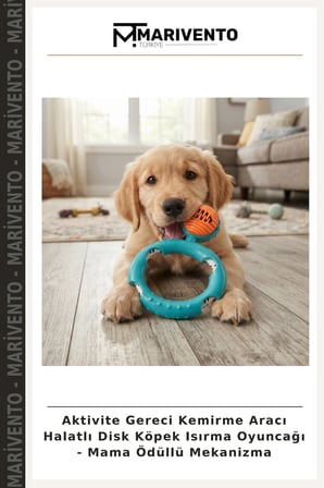 Aktivite Gereci Kemirme Aracı Halatlı Disk Köpek Isırma Oyuncağı - Mama Ödüllü Mekanizma