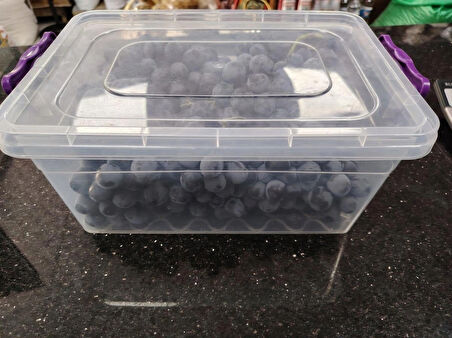 ERZİNCAN CİMİN(GÖLLER) ÜZÜMÜ 3KG