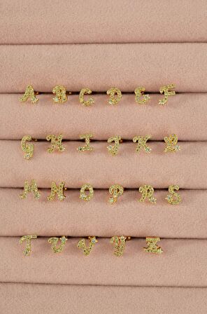 E Harfi Piercing Helix Kıkırdak Lob Tragus