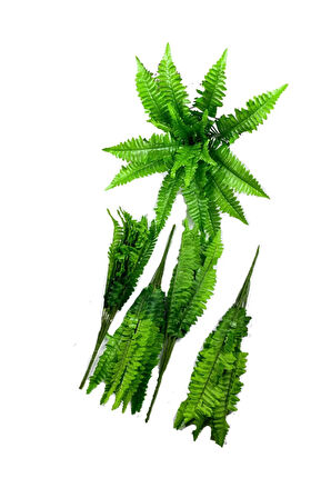 5'li Aşk Merdiveni Çikas 17 Yaprak Dal 50 Cm