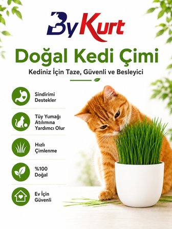 Kedi Çimi Seti ByKurt Doğal Kedi Otu Tohumu Yetiştirme Kabı Toprak ve Sprey Şişeli Ev İçin Güvenli Kedi Çimi Seti