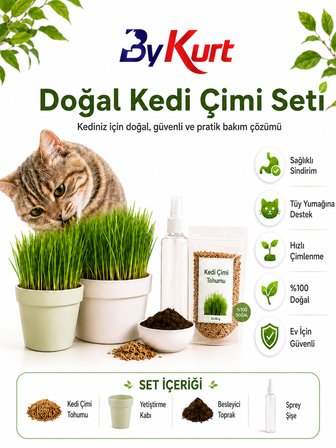 Kedi Çimi Seti ByKurt Doğal Kedi Otu Tohumu Yetiştirme Kabı Toprak ve Sprey Şişeli Ev İçin Güvenli Kedi Çimi Seti