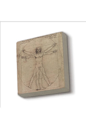 Vitruvius Adamı (Leonardo Da Vinci, 1492) Baskılı Taş Magnet 5X5
