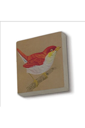 Kuş Baskılı Taş Magnet 5X5