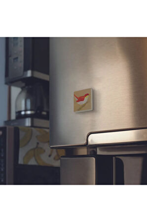 Kuş Baskılı Taş Magnet 5X5