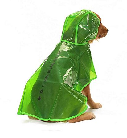 Köpek Büyük Irk Yağmurluk Otso Şeffaf Yeşil