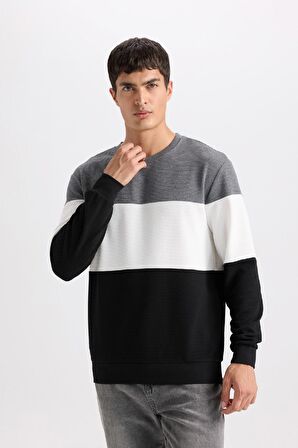 DeFacto Regular Fit Bisiklet Yaka Jakarlı Sweatshirt D5393AX24AUBK27