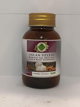 Aslan Yelesi Toz Ekstresi 100 Gr. Cam Kavanoz