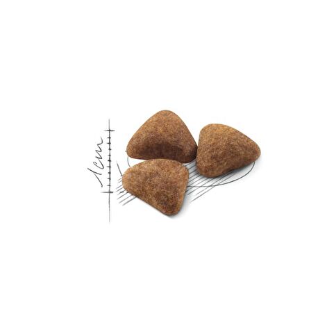 Royal Canin Indoor27 Yetişkin Kuru Kedi Maması 2kg