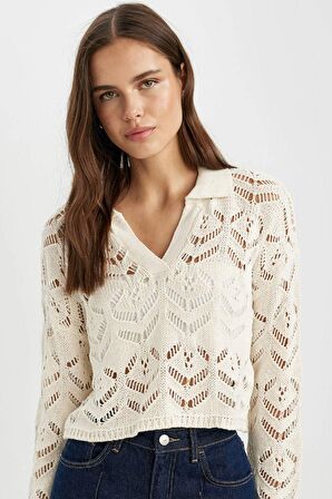 DeFacto Relax Fit Polo Yaka Kroş Triko Kazak C4512AX24SMER105