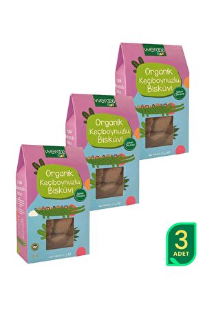 Kids Organik Keçiboynuzlu Bisküvi 55 gr 3'lü