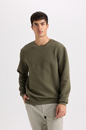 DeFacto Regular Fit Bisiklet Yaka Jakarlı Sweatshirt D5392AX24AUKH261