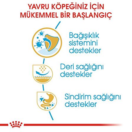Royal Canin Pug Yavru Köpek Maması 1.5kg