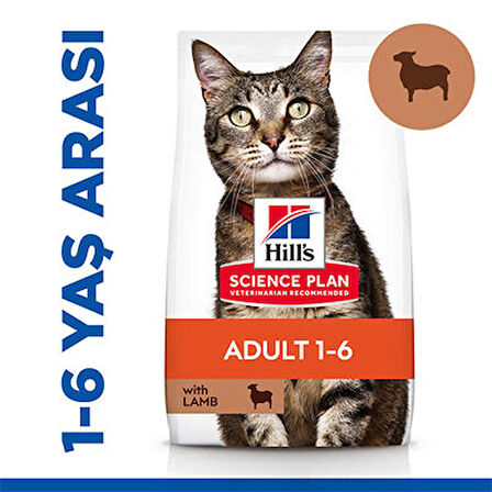 Hill's Adult Lamb Kuzu Etli Yetişkin Kedi Maması 3 kg