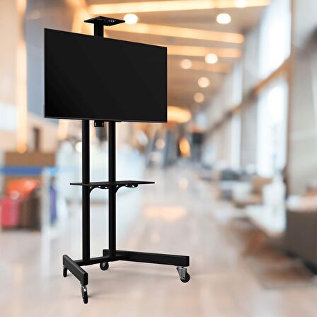 ALPIN TV/Fuar ve Toplantı Odası Standı Video Kamera Askı Aparatlı Metal Ayaklı TV Sehpası/Ünitesi 40” inç – 75” inç