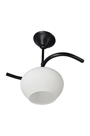 Fuji Siyah Tekli Beyaz Yatsı Camlı Avize | Kaliteli Modern Metal Avize