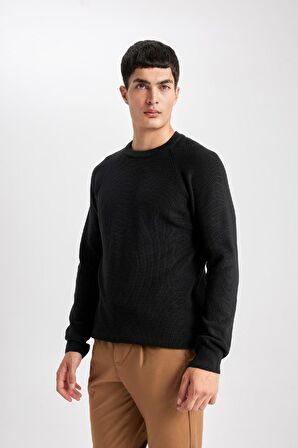 DeFacto Standart Fit Normal Kesim Bisiklet Yaka Basic Düz Triko Kazak A8458AX24SPBK27
