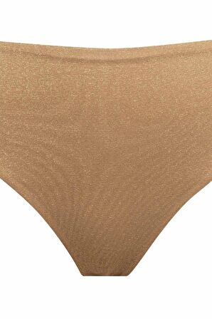 DeFacto Regular Fit Parlak Kumaş Yüksek Bel Bikini Altı-Fall in Love C3180AX24SMYL275