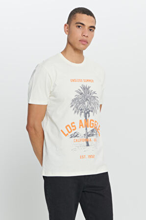 Standart Fit Normal Kesim %100 Pamuk Bisiklet Yaka Tişört