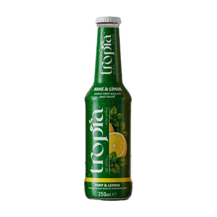 Tropia Nane Limon Aromalı Gazoz (6 adet)