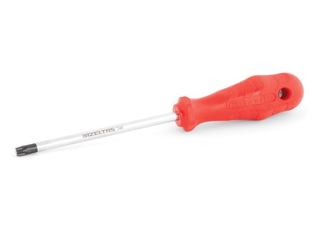 TORX UÇLU TORNAVİDA T 45 (10 Adet)