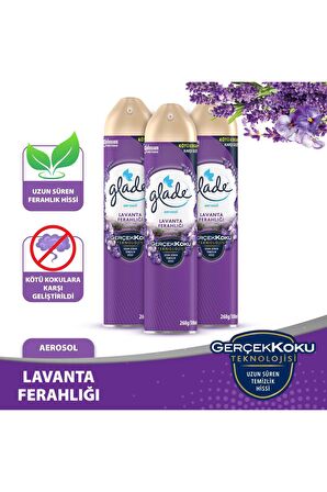 Aerosol Oda Kokusu Lavanta 3 'lü Set