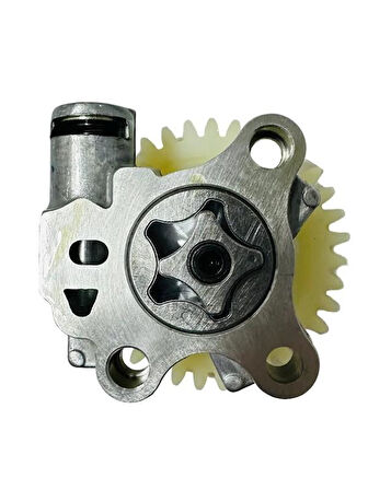 YAĞ POMPASI NS 200 A