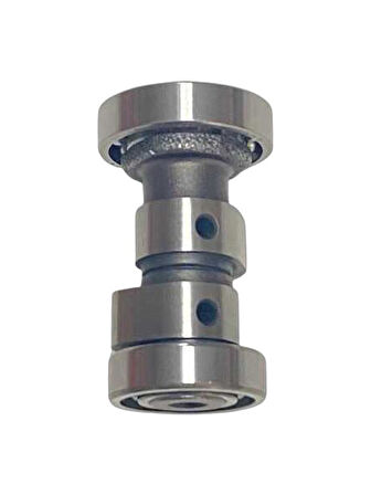 EKSANTRİK MİLİ CYGNUS L