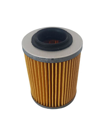 Yağ Filtresi ATV CF450 CF550 CF625 CF800