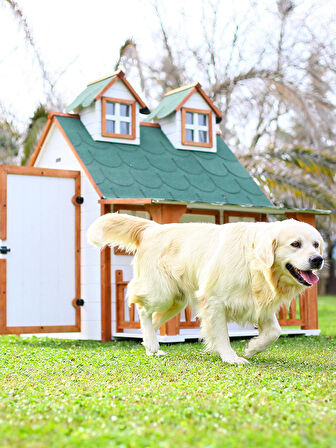 MANDU Ultra lüks Ahşap Köpek Kulübesi (evi)