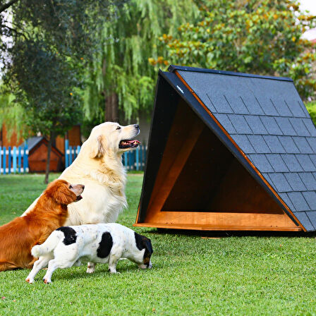 MANDU Ahşap Köpek Kulübesi (A Frame)