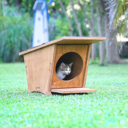 MANDU Ahşap Mini Kedi Evi (Yeni Doğan Evi)