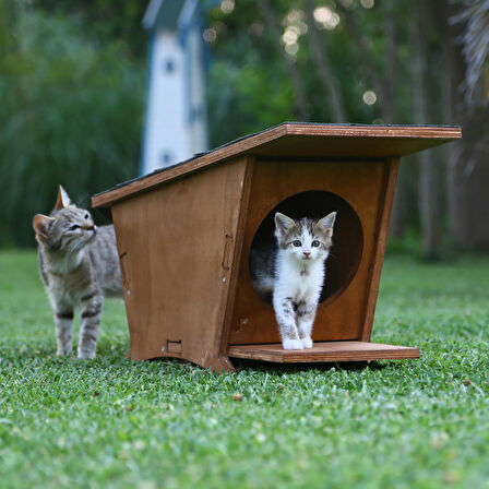 MANDU Ahşap Mini Kedi Evi (Yeni Doğan Evi)