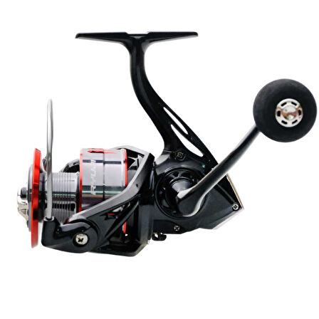 Ryuji Raptor 5000D 5+1BB Makara Standart-Standart