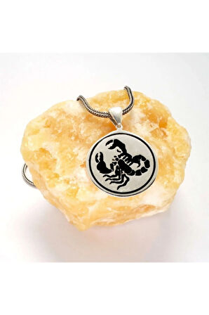 Akrep Erkek Gümüş Kolye Zincir