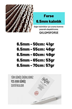 Erkek Gümüş Kolye - 6.5mm Forse Model 925 Ayar Erkek Gümüş Kolye Zincir Gklgmsforse