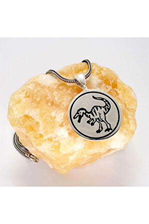 Dinozor Erkek Gümüş Kolye Zincir