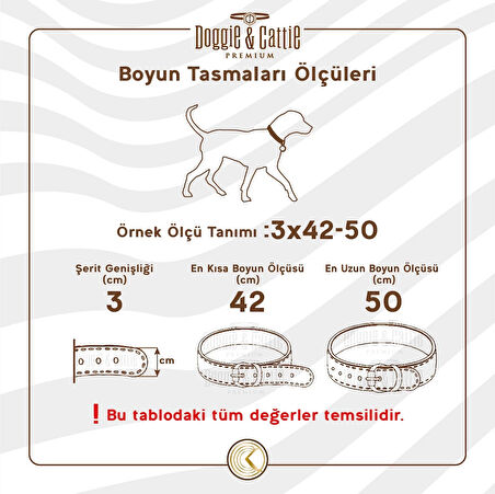 Cattie Ayarlanabilir Elastik Kedi Boyun Tasması 1 cm x 30 cm Pembe