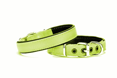 Yumuşak Doku Köpek Boyun Tasması 2/45 cm Yeşil